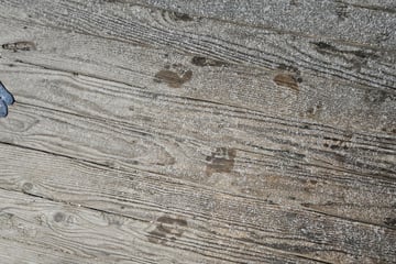 Barfuß und auf Zehenspitzen! Frau entdeckt am Morgen Fußspuren auf Veranda