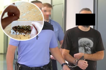 Vom Firmenchef zum Drogendealer: Dresdner Familienvater verurteilt!