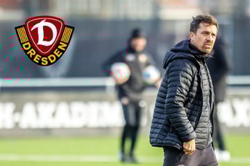 Dynamo steht unter Druck, doch Thomas Stamm glaubt nicht an Punkteziele