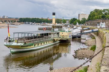 Dresden: Weiße Flotte plant Dankeschön-Parade: Das ist der Anlass