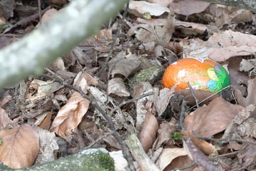 Nach tragischer Ostereiersuche mit drei Toten: Warum stürzte der Baum um?