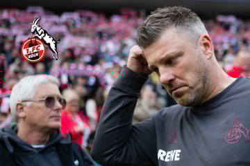 Rückendeckung weg: War es das für Lukas Kwasniok beim 1. FC Köln?