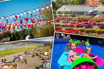 Dresden: Sommer-Wochenende in Dresden: 9 Tipps für Euren Samstag!