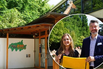 Alles begann mit einer kleinen Tasche: Tierpark Hagenbeck feiert besonderes Jubiläum