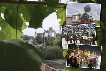 Dresden: Dieser Samstag hat es richtig in sich: Zehn Tipps für Dresden und Umgebung