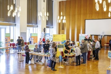 Dresden: Senioren bekommen eigene Themen-Konferenz