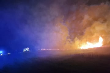 Brandbeschleuniger benutzt: Täter zündet Feld an, 5000 Quadratmeter in Vollbrand