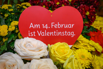 Kurz vorm Valentinstag: So (un)romantisch sind die Deutschen