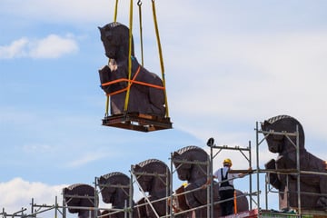 Magdeburger Pferdetor hat seine Skulpturen zurück