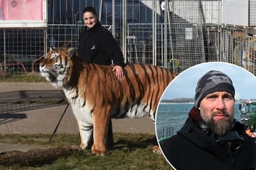 Leipzig: Robert Marc Lehmann nach Tiger-Angriff: "Du hast jahrelang Tiere gequält und bist aufs Abstellgleis geraten"