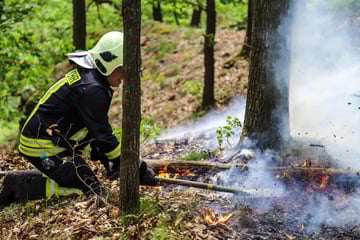 Straßensperrung nach Waldbrand im Erzgebirge