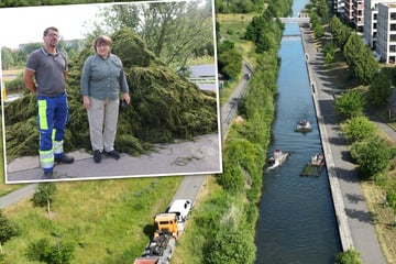 Leipzig: Leipzigs Karl-Heine-Kanal erhält Sommerschnitt: 400 Tonnen Biomasse, Tendenz steigend