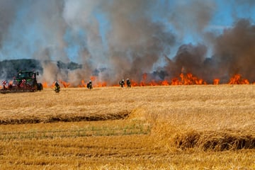 Flammen-Inferno auf Ostsee-Insel! 120 Kräfte kämpfen gegen Feuerwand