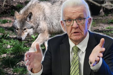 Kretschmann genervt von Debatte: "Wolf weiß ja nicht, wann Wahlkampf ist"