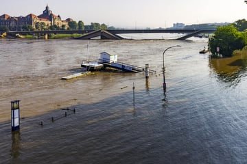 Hochwasser in Dresden: Experten rechnen mit "langabfallendem" Scheitelpunkt