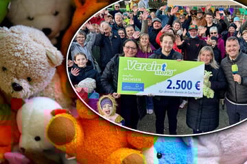 Leipzig: Plüsch-Alarm bei Leipzig: Dorfverein versinkt nach Radio-Gewinn in Stofftieren