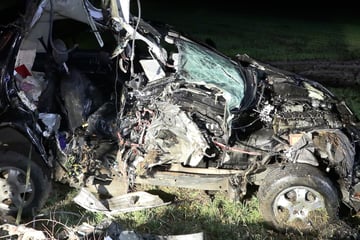 Fahrer kracht mit Auto gegen Baum: Anschließende Kontrolle bringt heftige Details ans Licht