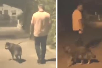 Vor zwei Frauen entblößt: Kripo sucht diesen Exhibitionisten mit Hund