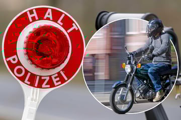 Mit 80 km/h über Fußgängerweg! Jetzt sucht die Polizei Zeugen der Wahnsinnsfahrt