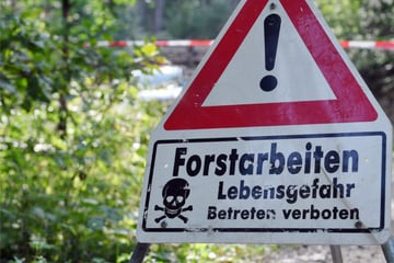 Absperrband ignoriert? Rentner von Forstmaschine erfasst und getötet