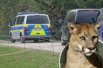 München: Puma-Rätsel in München ungelöst: Experte hat Vermutung