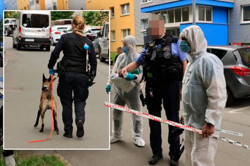 Chemnitz: Frau in Chemnitz getötet, Nachbarin entsetzt: "So was passiert hier nicht, denkt man immer"