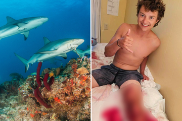 24-Jähriger fällt in Hai-verseuchte Gewässer - und überlebt!