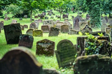 Entsetzen auf Friedhof: Exhibitionist spielt an seinem Penis rum