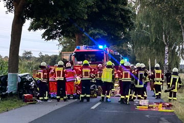 Horror-Crash von Fahranfänger: Rettungshubschrauber im Einsatz