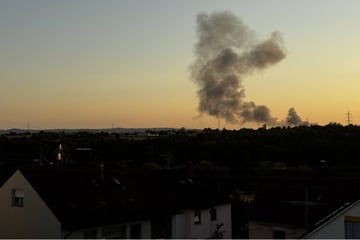 Stuttgart: Feuer in Stuttgart: Bewohnern unterläuft Irrtum wegen Rauchwolke