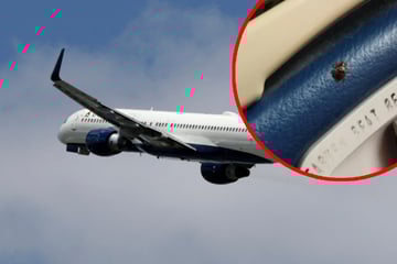 Ekel-Alarm im Flugzeug: Passagierin wird mehrfach von Bettwanzen gebissen
