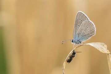 Geht raus und genießt die Sonne: Am Wochenende könnte es ungemütlich werden