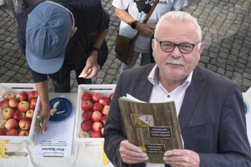 Apfelernte fällt in Sachsen dieses Jahr geringer aus