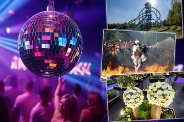 Dresden: Acht Tipps, damit Euch am Samstag in Dresden nicht langweilig wird