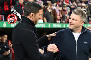 Bestätigt! 1. FC Köln hat neuen Trainer für die Bundesliga