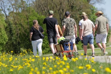 Achtung bei Ausflügen ins Freie: Waldbrandgefahr im Südwesten steigt massiv