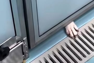 Niemand will Hund in Tierheim eine Chance geben: Was er dann tut, geht so vielen ans Herz