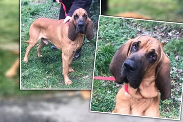Nach Tumor-OP: Johnny will zurück ins Leben starten