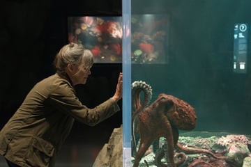 Neu bei Netflix: Diese Filme und Serien erwarten Euch im Mai