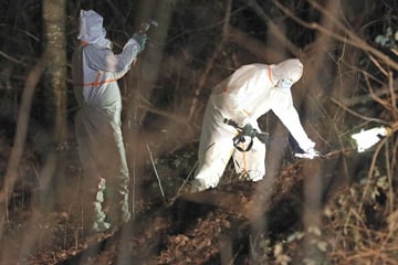 Horror-Fund in Wald: Spaziergänger entdeckt Leiche unter Müllberg!