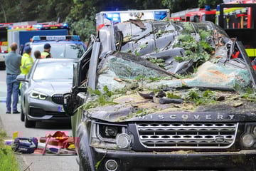 Baum kracht auf Land Rover: Frau eine Stunde lang im Wrack eingeklemmt