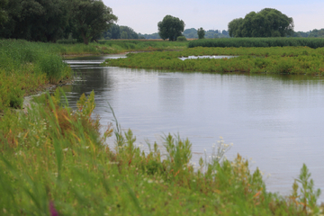 Investition erhöht: 46,2 Millionen Euro für Gewässer in Sachsen-Anhalt!