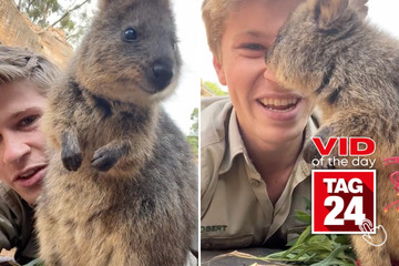 Viral Video of the Day for September 18, 2023: Steve Irwin's son gets kisses from cutest animal in the world
