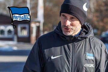 Hertha stellt Leitl vor: Worauf es jetzt ankommt