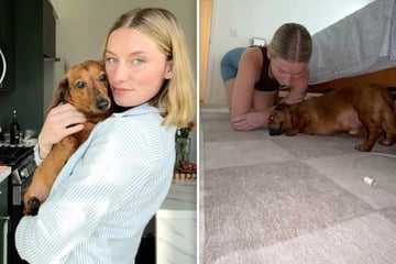 Dog throws a fit when it's time to go out for a walk in silly viral video: "An indoor dog!"