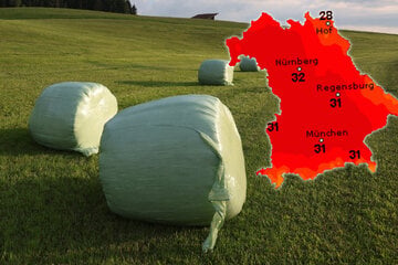 In Bayern kehrt der Sommer zurück: Temperaturen bis 32 Grad erwartet