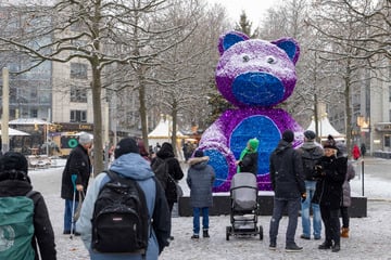 Dresden: Verschwindet er dieses Jahr? Petition gegen lila Riesenteddy