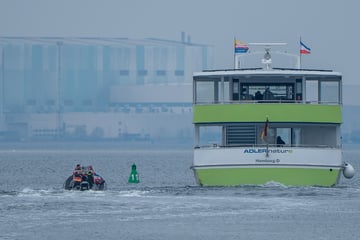 Gestrandeter Buckelwal: Polizei überwacht Fähre nach Annäherungsversuchen