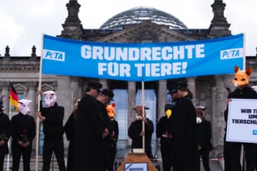 Berlin: PETA protestiert mit Sarg vor dem Reichstag: Das ist der Grund