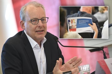 Darum gilt die Brandenburger AfD als gesichert rechtsextrem